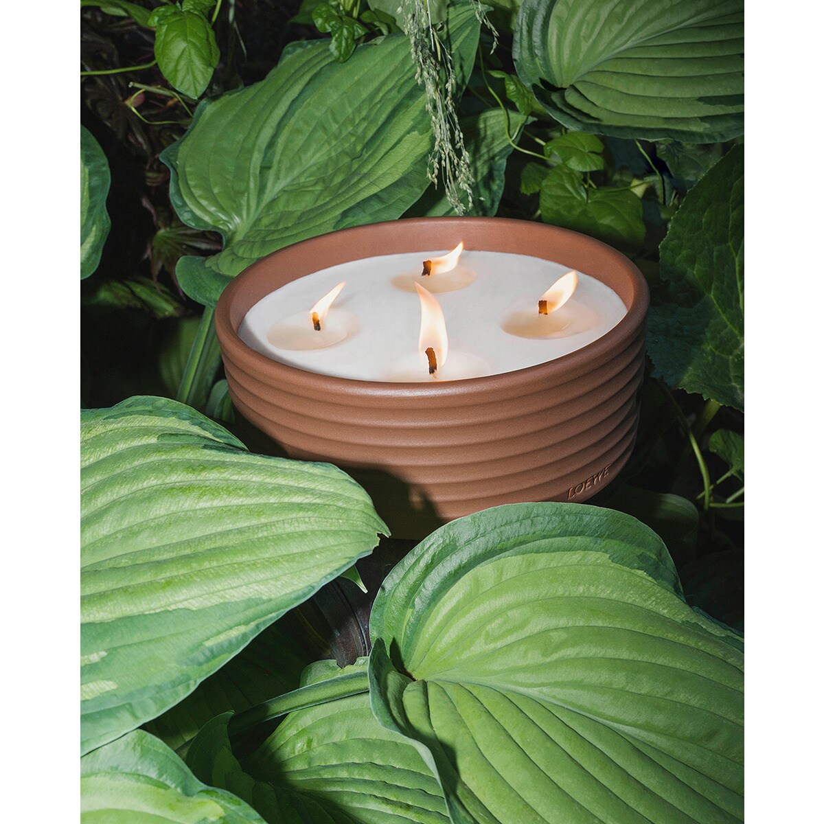 Vela Aromática de Exterior Thyme 4