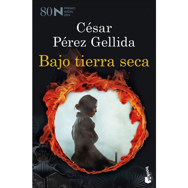 Imagen 0 de Bajo tierra seca: Premio Nadal de Novela 2024  (Bolsillo)