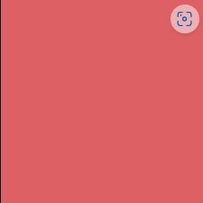 518 LE ROSE BLUSH - SATIN