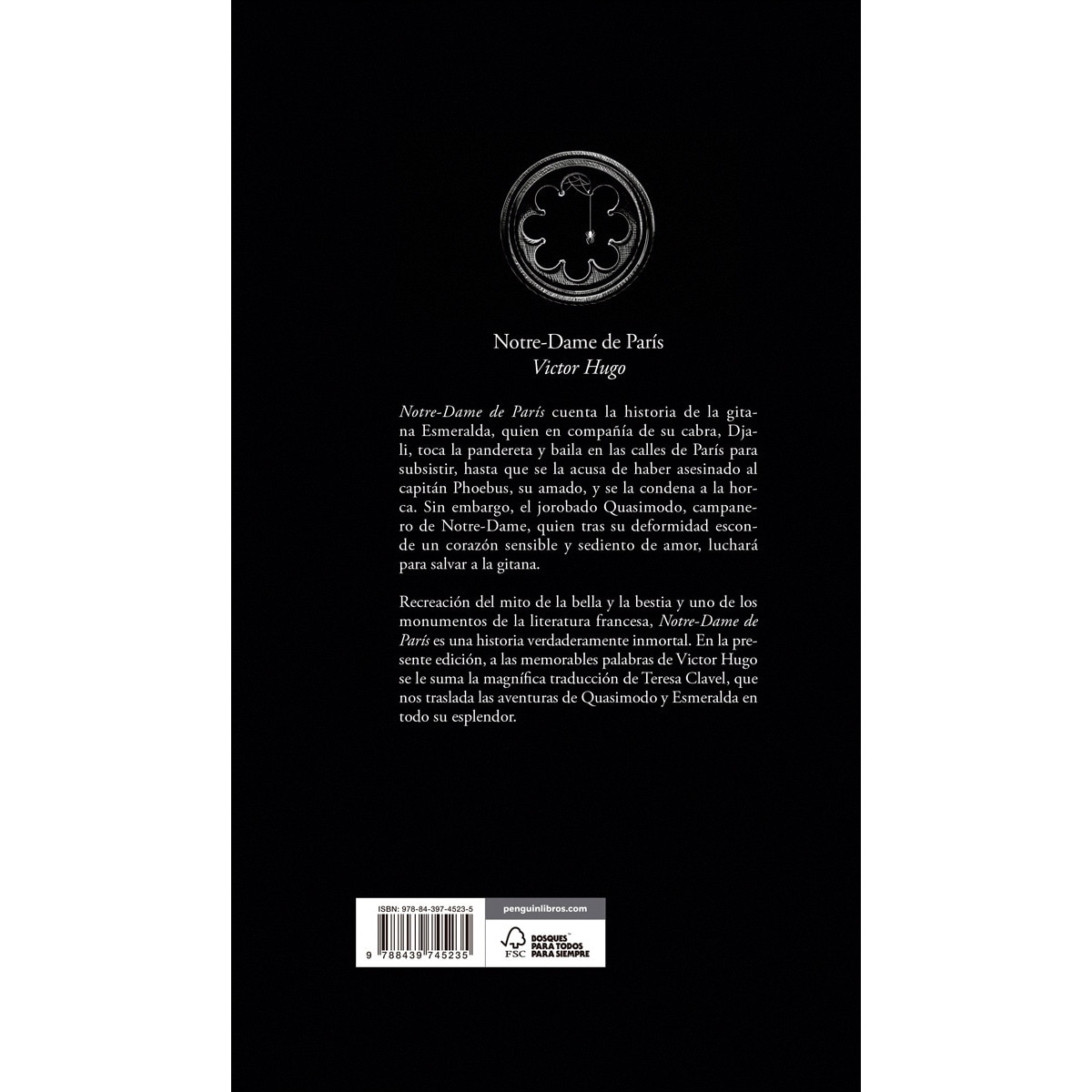 Notre-Dame de París (Capa dura) 3