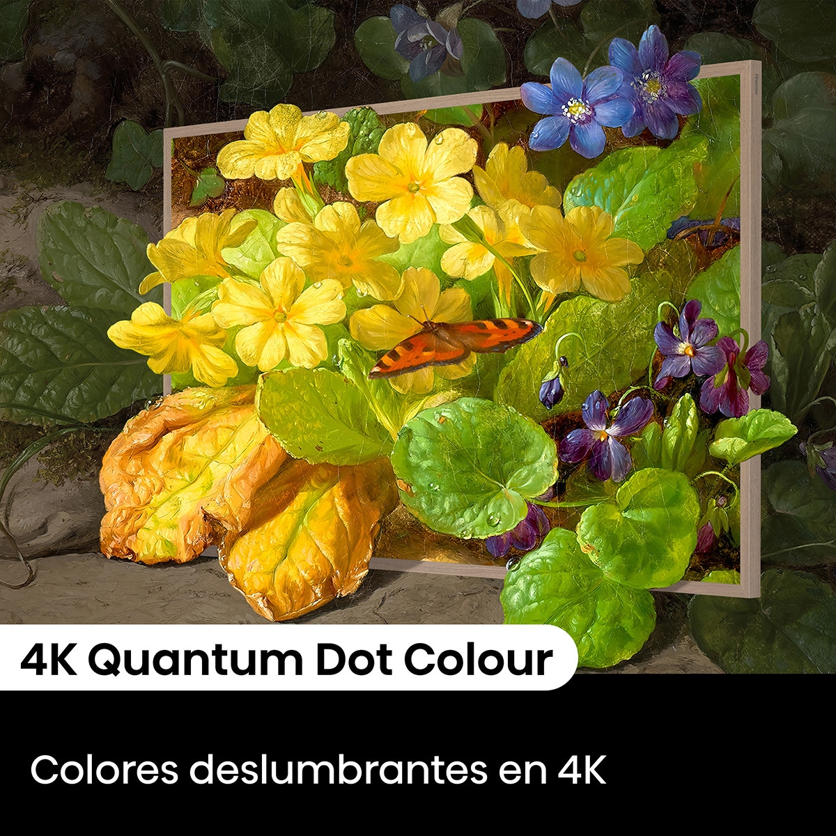 TV QLED 139cm (55") Hisense 55S7NQ Canvas, UHD 4K Smart TV con IA, soporte pared incluido Teca-7