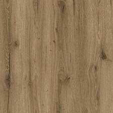 Roble Candia