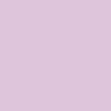 Lavender Lust