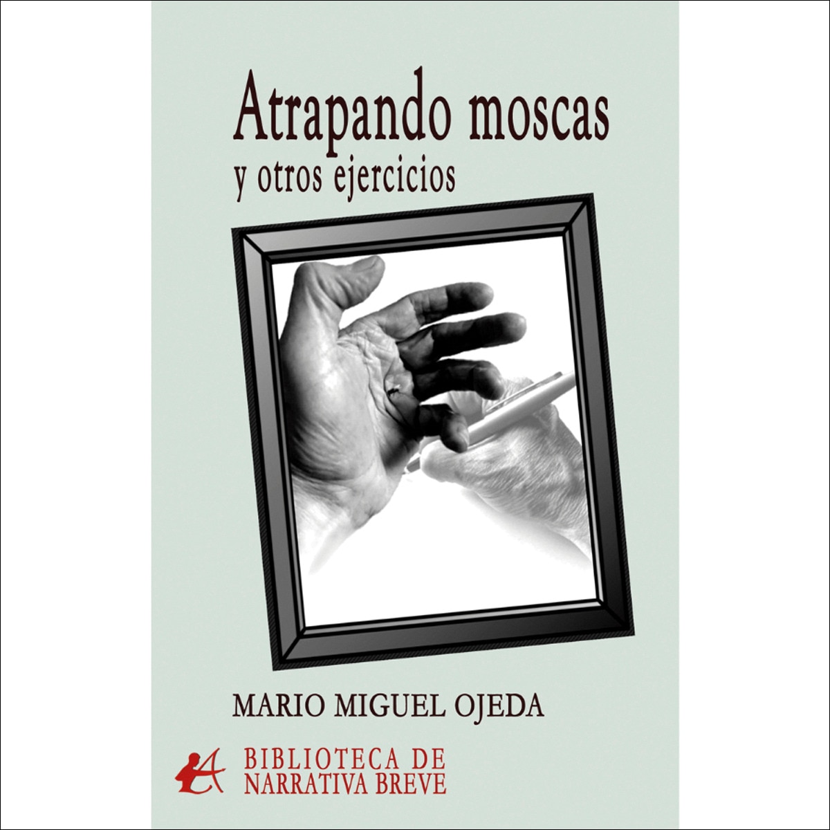 Atrapando moscas y otros ejercicios 1