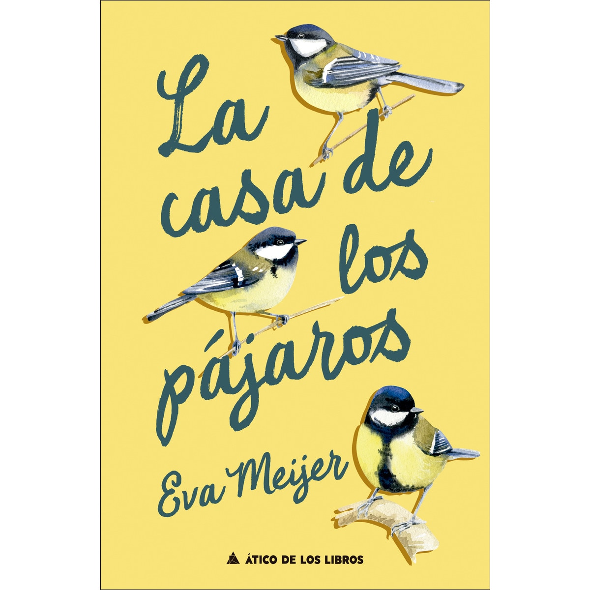 La casa de los pájaros (Capa mole com abas) 1
