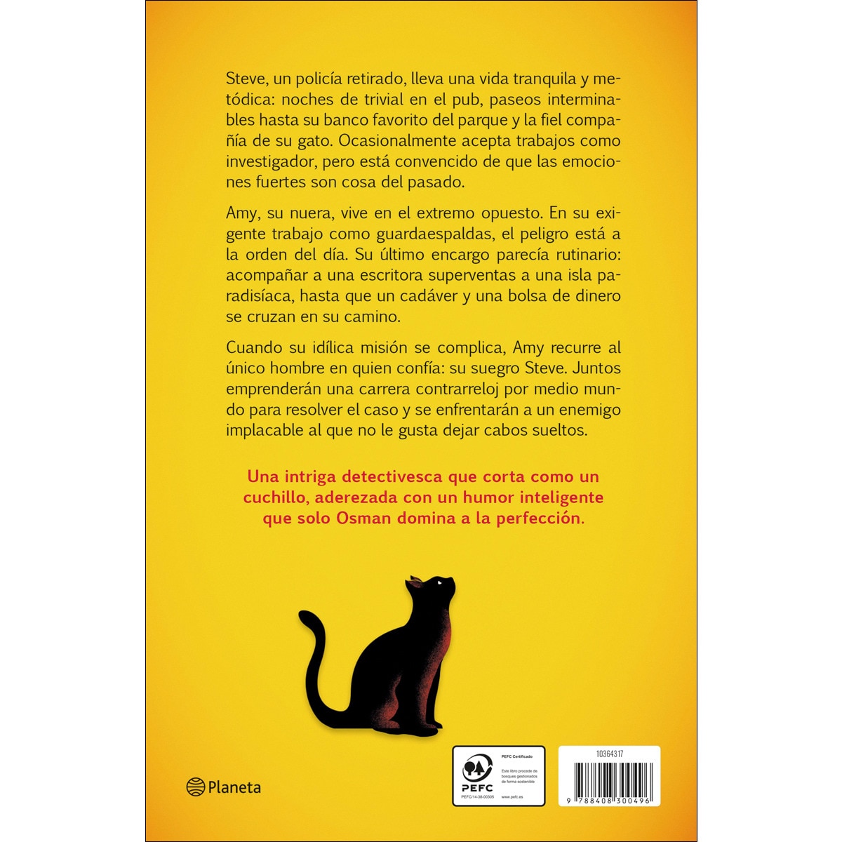 Resolvemos asesinatos (Capa mole com abas) 2