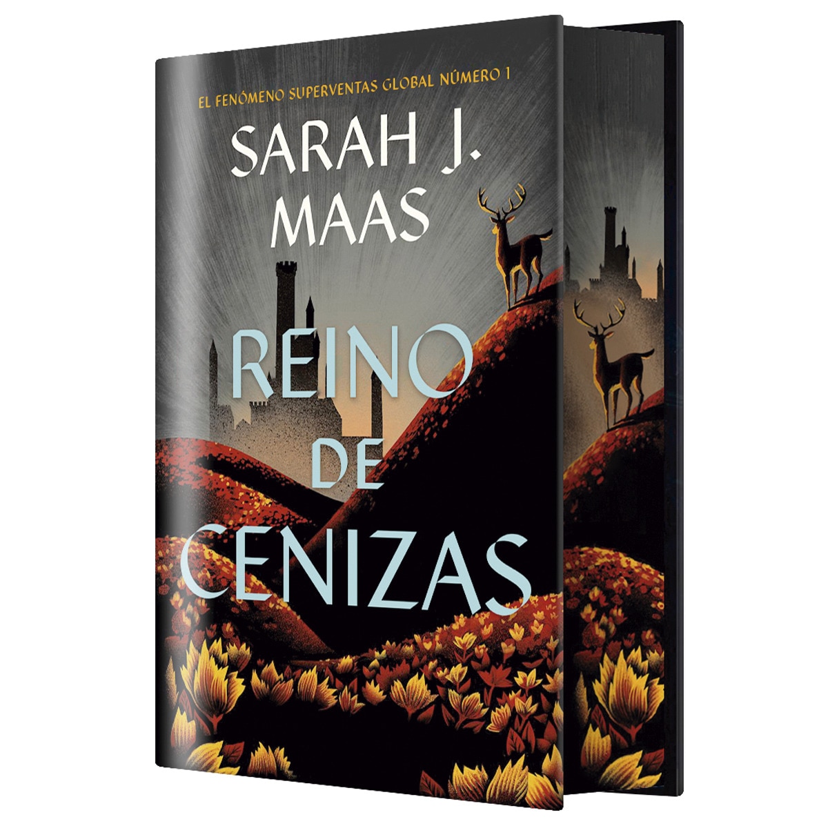 Reino de Cenizas (EDICIÓN ESPECIAL LIMITADA) 1