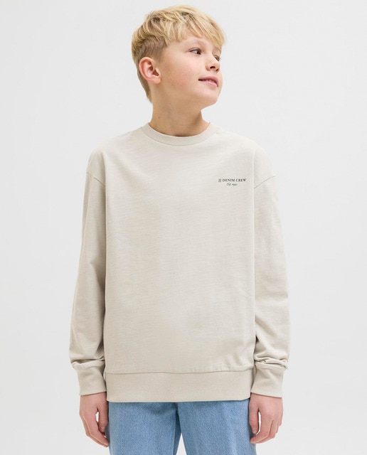 Imagem 0 de Sweatshirt Loose Fit sem Capuz