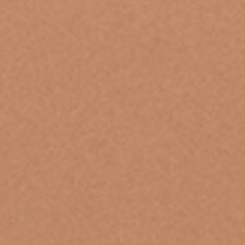 8.2 Warm Honey