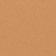 8.7 Golden Almond