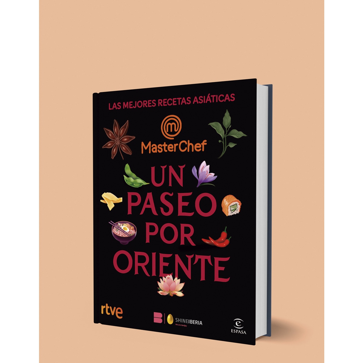 Un paseo por Oriente: Las mejores recetas asiáticas 2