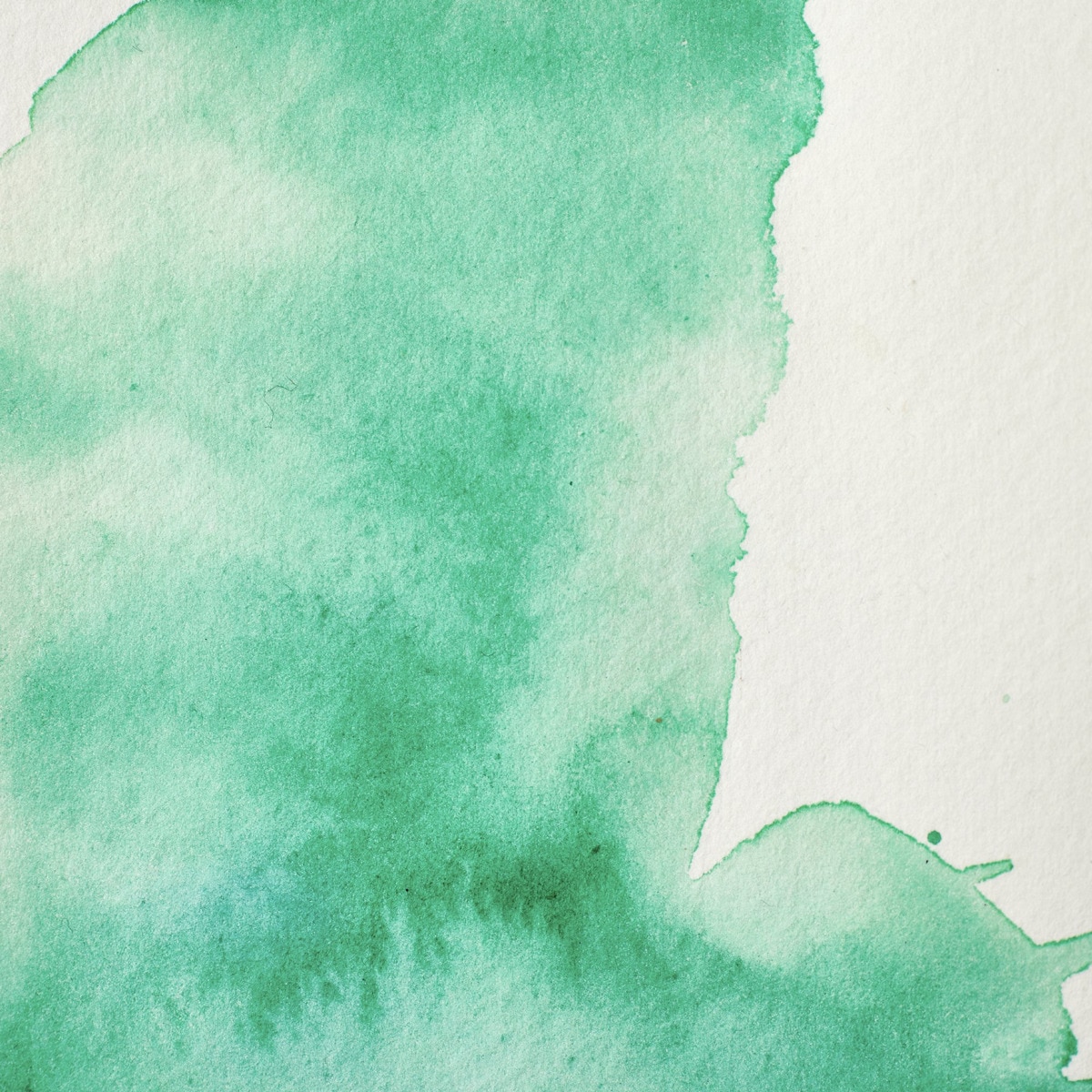 Media pastilla acuarela  profesional Winsor&Newton tono viridiano 2
