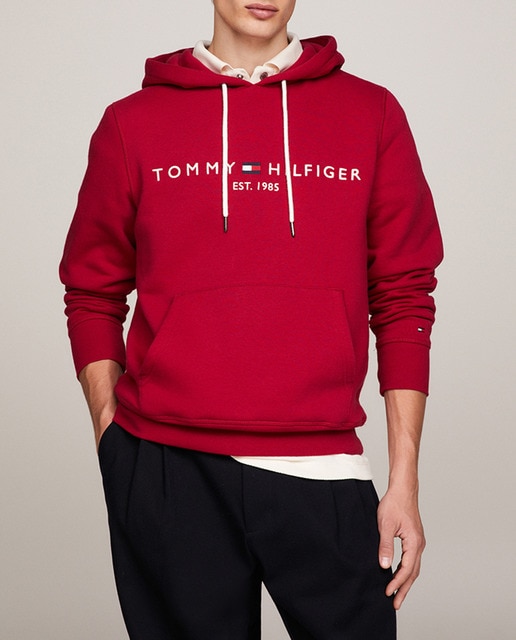 Imagen 0 de Sudadera con capucha y logo frontal bordado de hombre