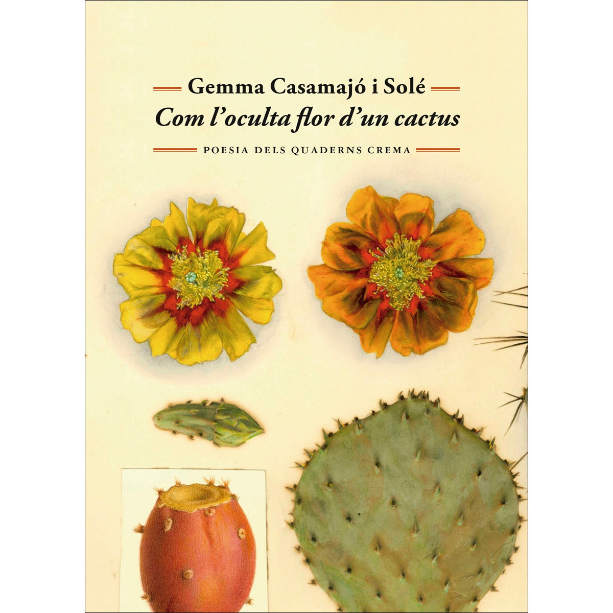 Com l'oculta flor d'un cactus 1