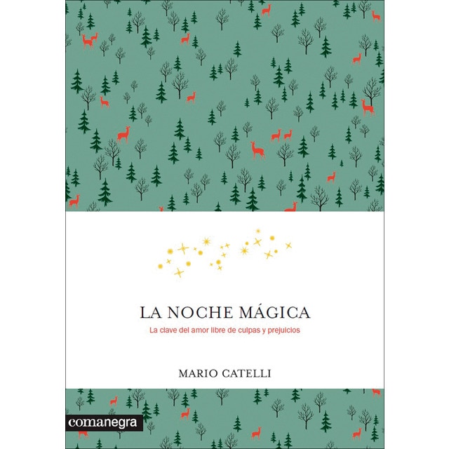 Imagen 0 de La noche mágica (Tapa blanda)