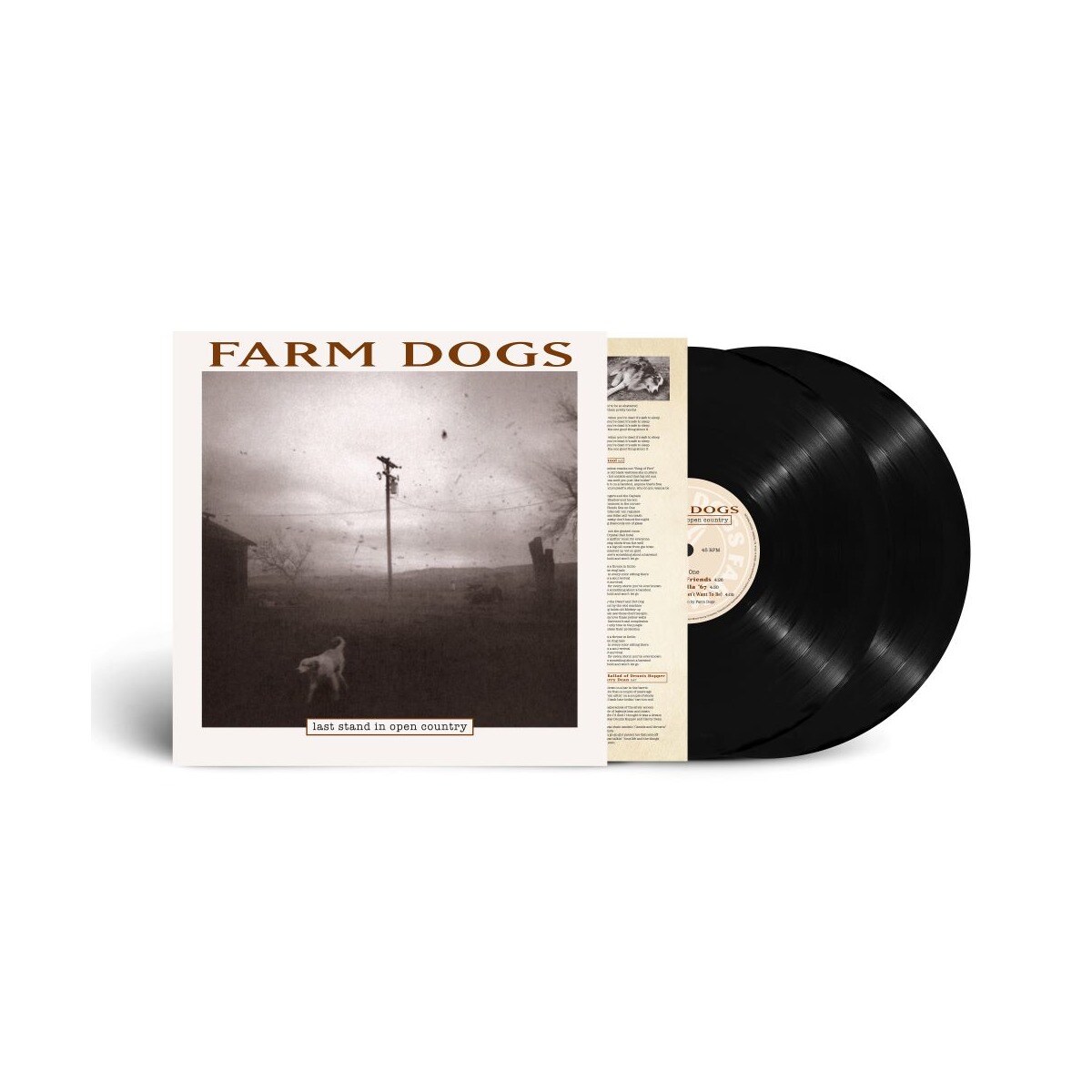 Last Stand In Open Country (2 LP-Vinilo) 1