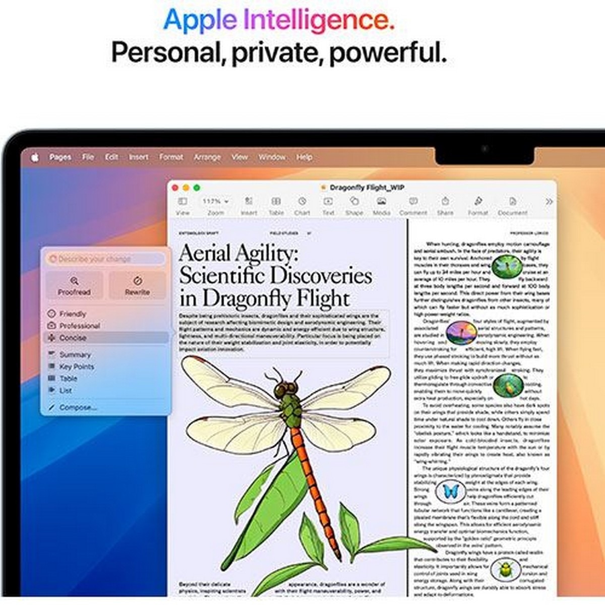 MacBook Air 15'' (2025), M4, CPU 10-core, RAM 24GB, 512GB SSD, GPU 10-core - Sky Blue 6