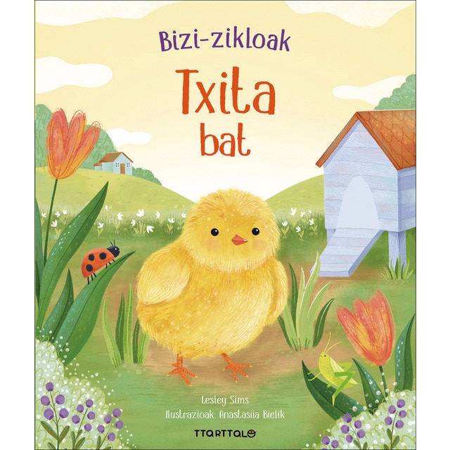 Imagem 0 de Txita bat