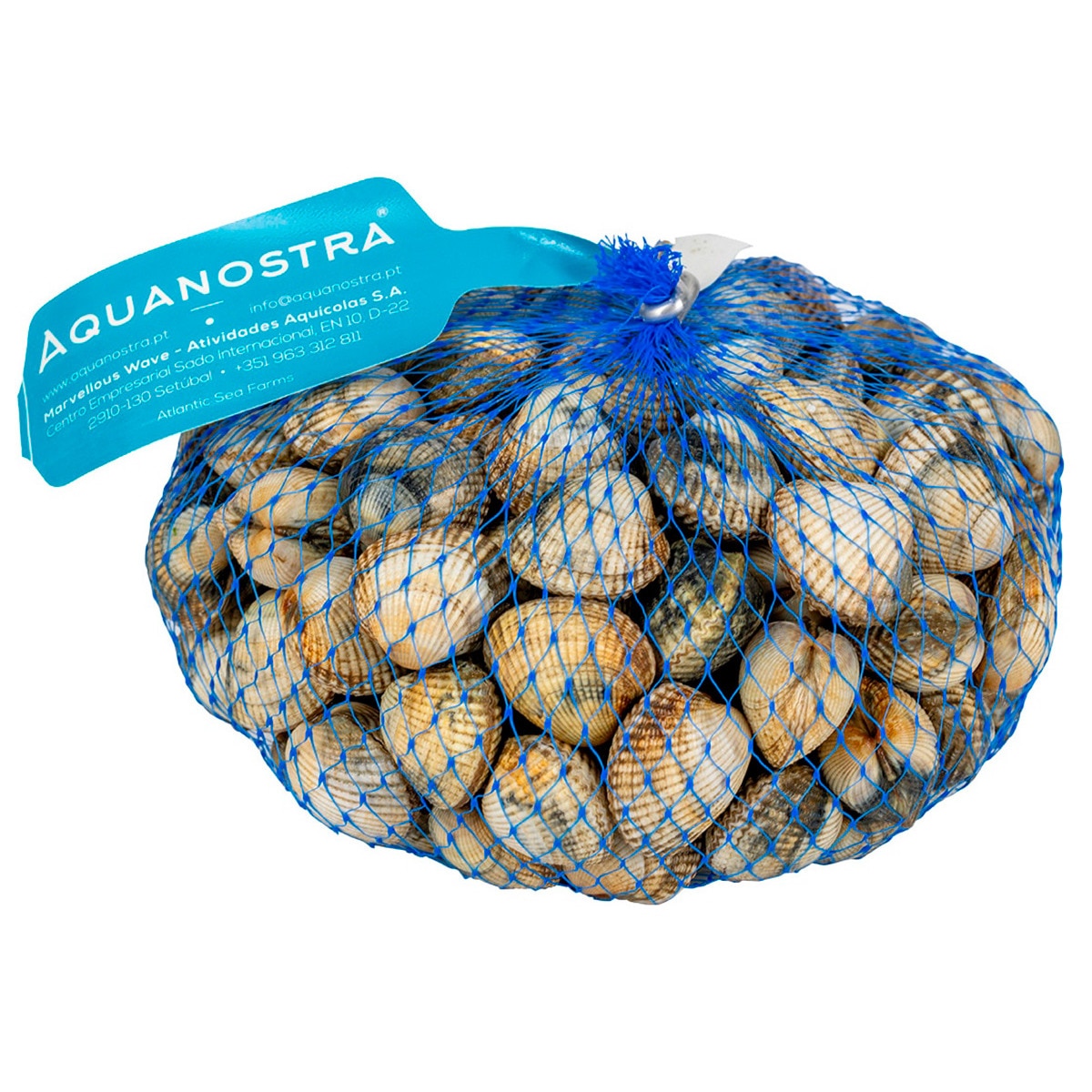 Berbigão Grande embalagem 1 kg