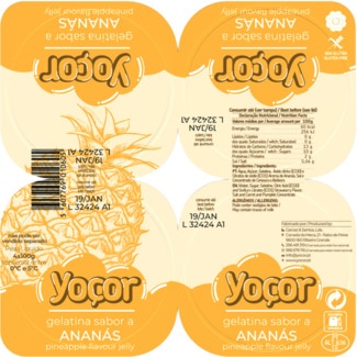Gelatina de Ananás 0% Gordura Pack 4 embalagem 100 g - Yoçor