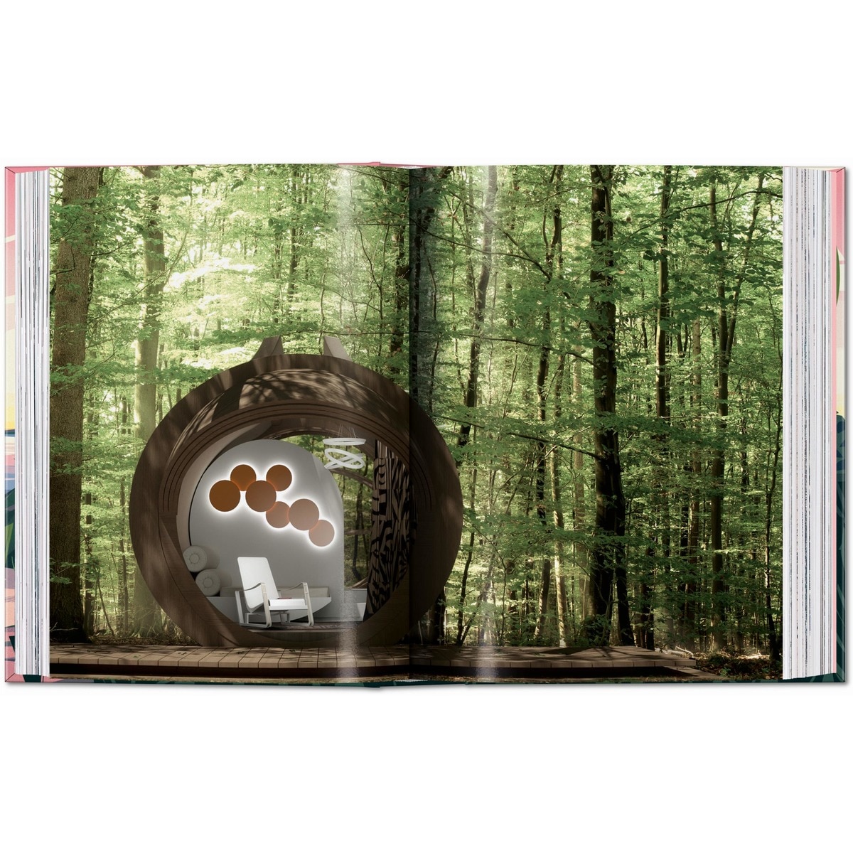 Cabins. 45th Ed. (Capa dura) 3