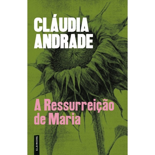 Imagem 0 de A Ressurreição de Maria