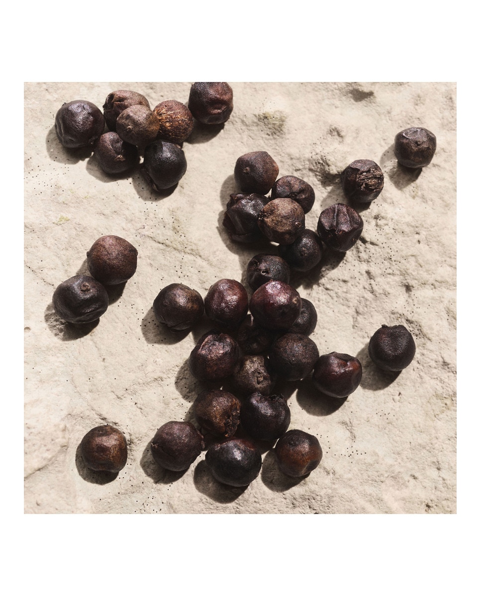 Eau de Parfum Light Blue Pour Homme Capri in Love Dolce&Gabbana 6