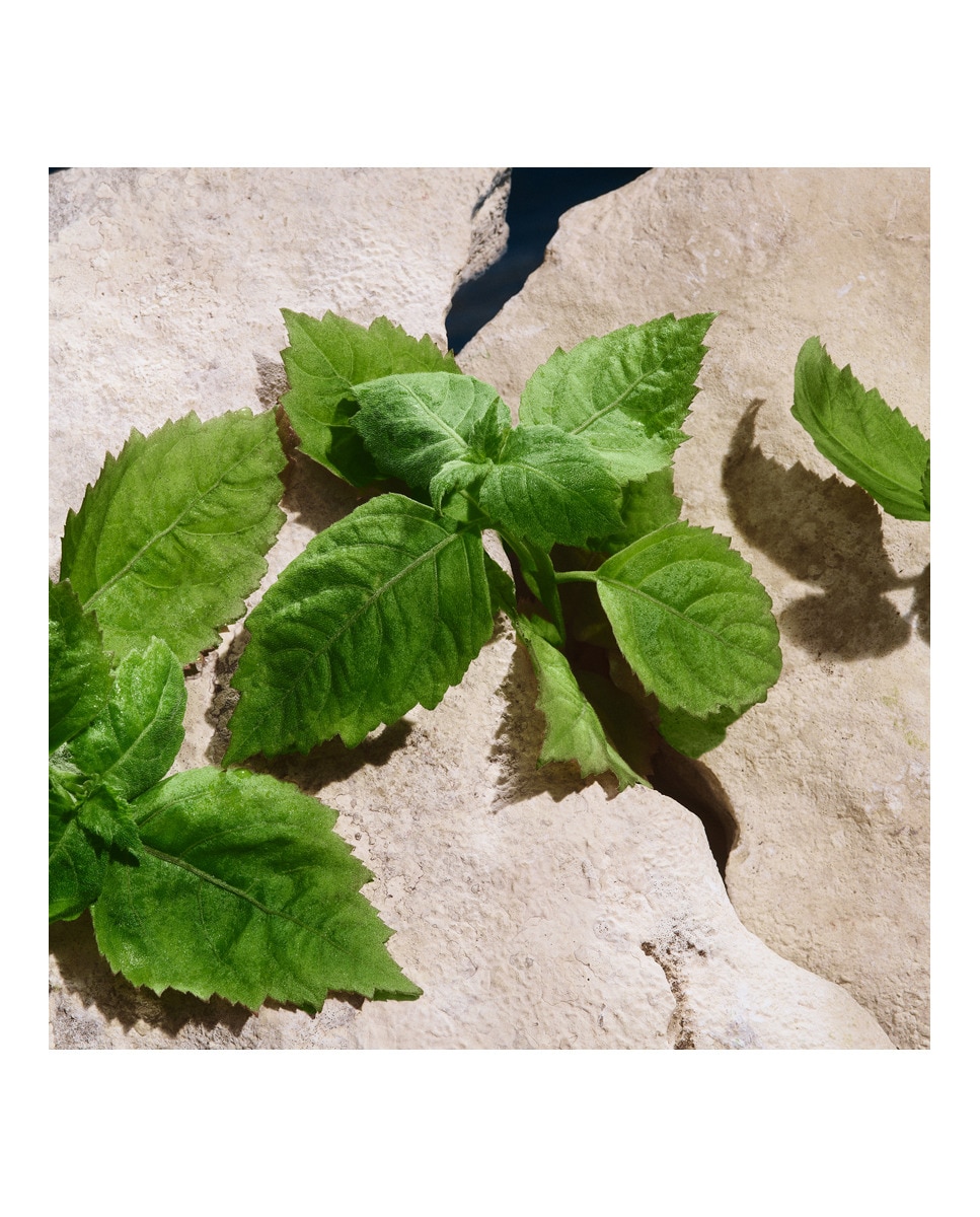 Eau de Parfum Light Blue Pour Homme Capri in Love Dolce&Gabbana 5