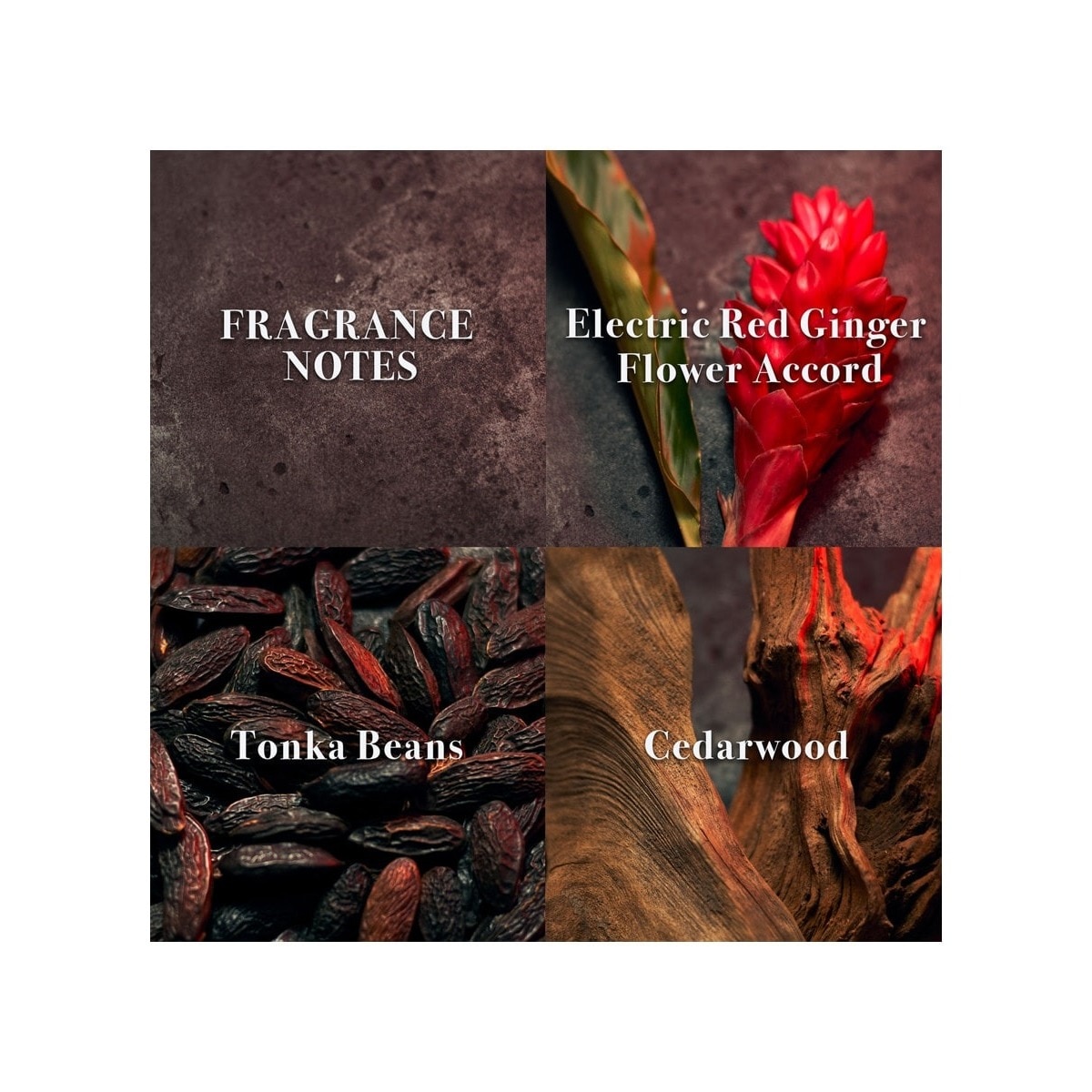 John Varvatos XX Intense Eau de Toilette 3