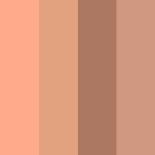 01 Light Warm - Estuche beige