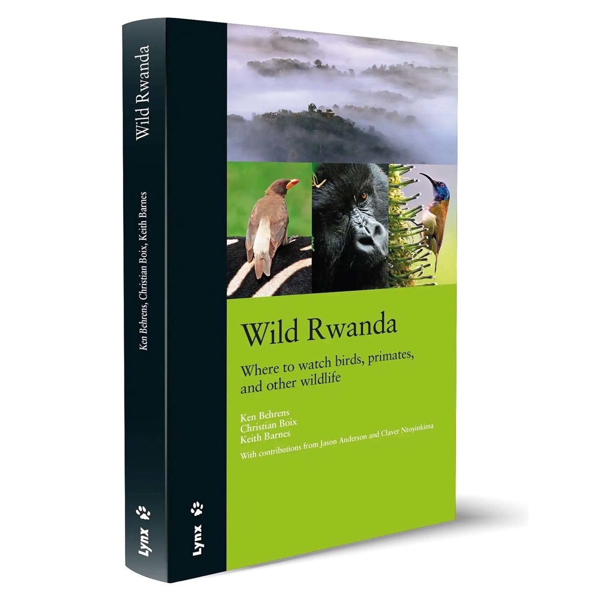 Wild Rwanda: Where to watch birds, primates, and other wildlife (Capa mole) 1