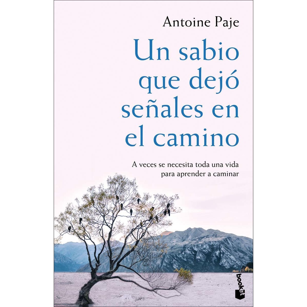 Imagen 0 de Un sabio que dejó señales en el camino (Bolsillo) (Tapa blanda)
