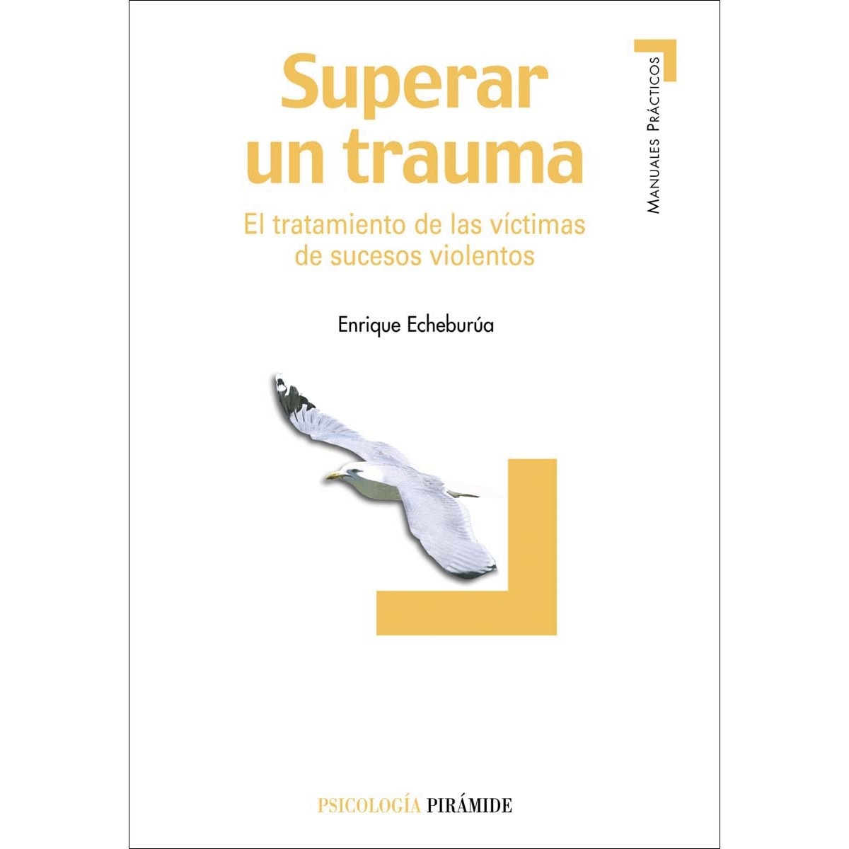 Imagem 0 de Superar un trauma: El tratamiento de las víctimas de sucesos violentos (Capa mole com abas)