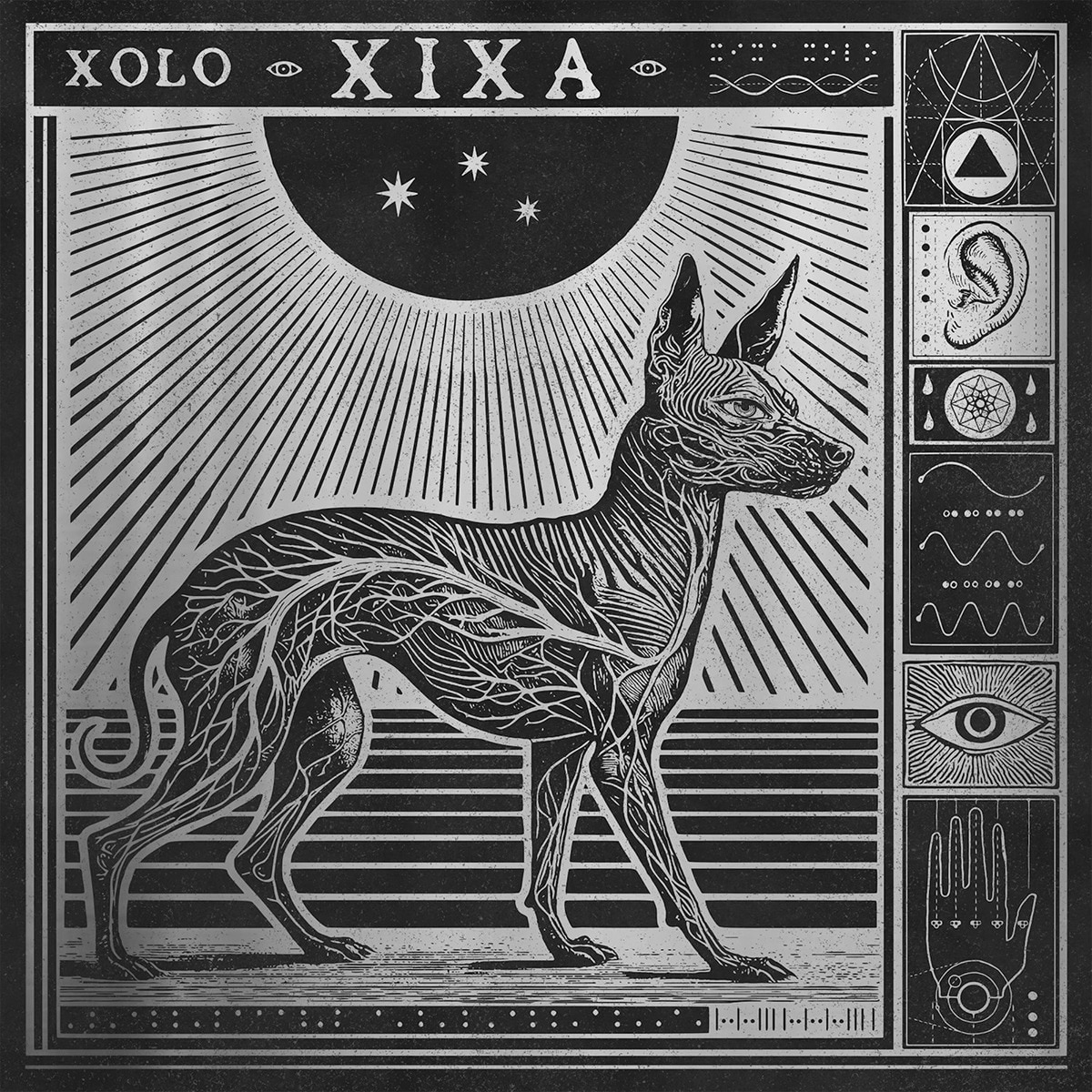 Imagen 0 de XOLO (LP-Vinilo)