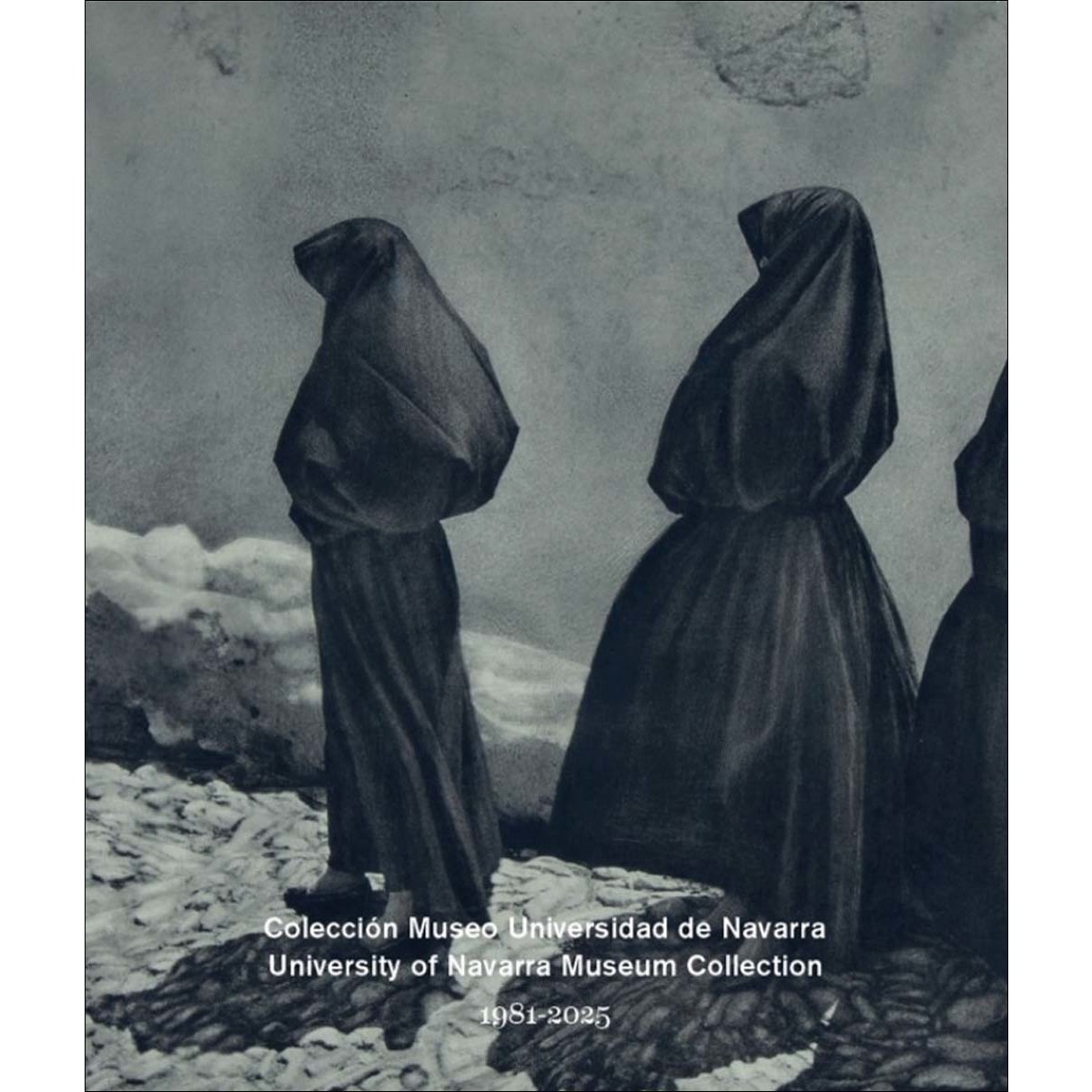 Colección Museo Universidad de Navarra. 1981-2025: Cuatro décadas (Capa mole) 1