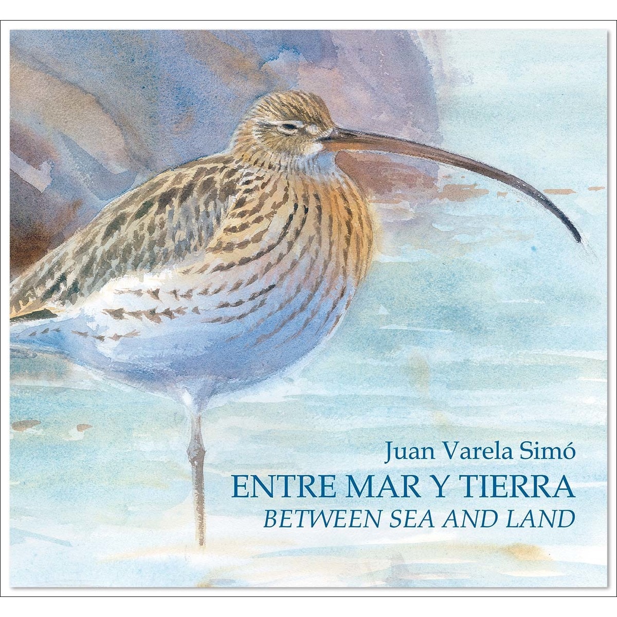 Imagen 0 de Entre mar y tierra / Between Sea and Land: Las marismas del sur / The southern marshes  (Tapa dura)
