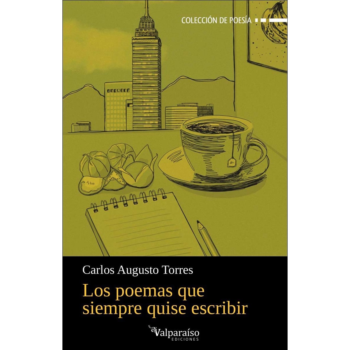 Los poemas que siempre quise escribir (Capa mole com abas) 1