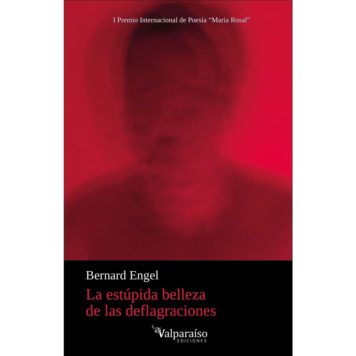 La estúpida belleza de las deflagraciones (Capa mole com abas) 1