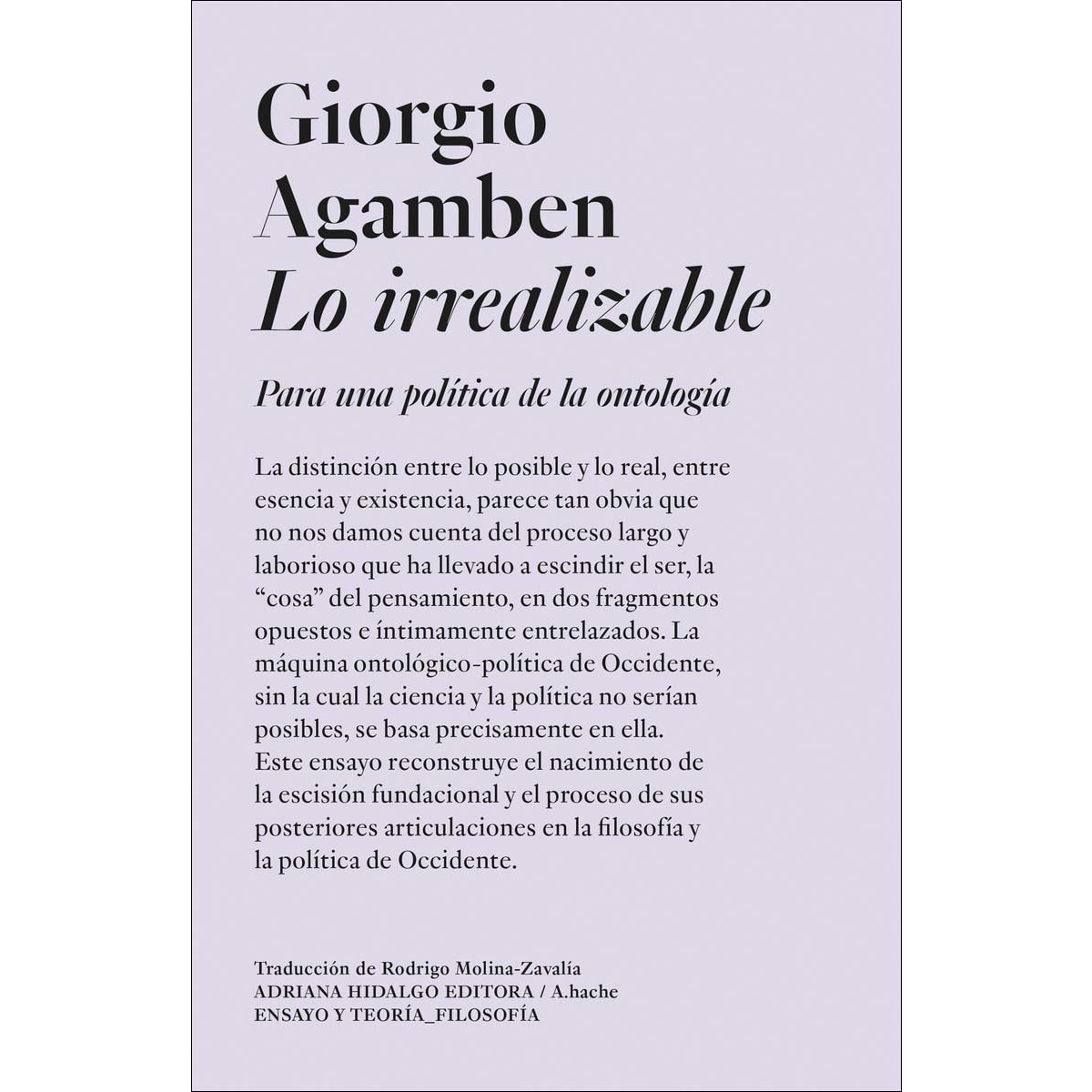 Imagem 0 de Lo irrealizable