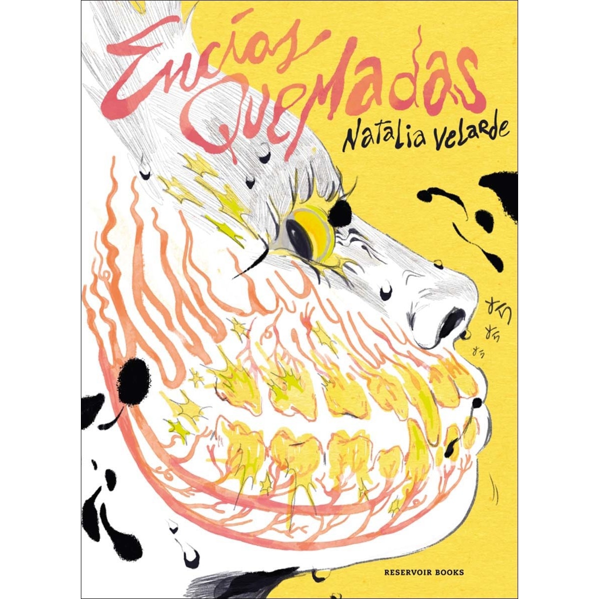 Encías quemadas (Capa dura) 1