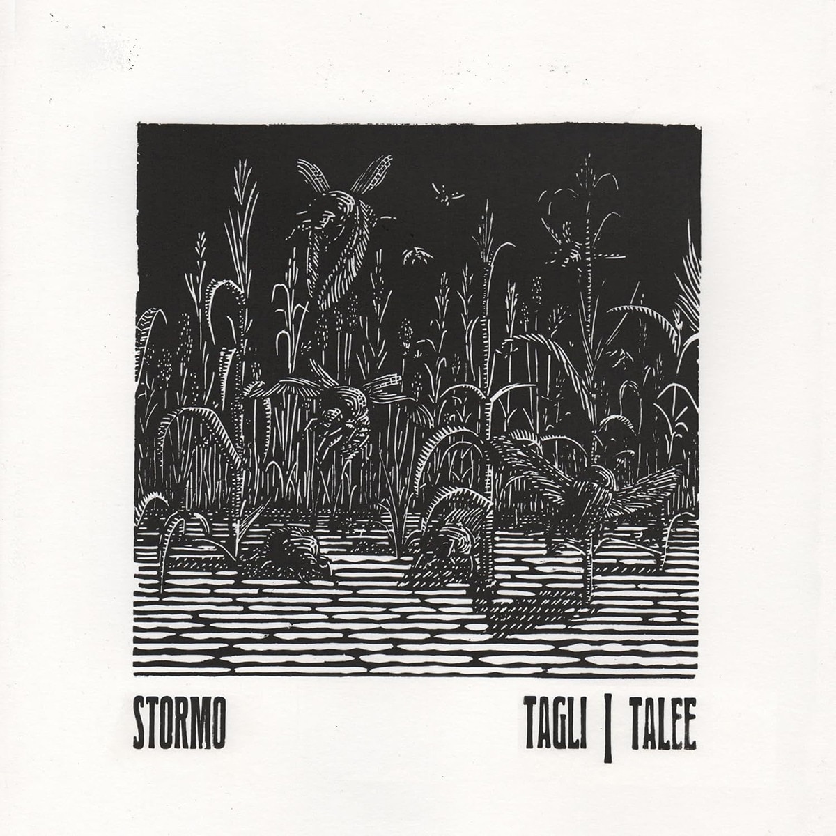 Imagen 0 de Tagli/Talee (CD)