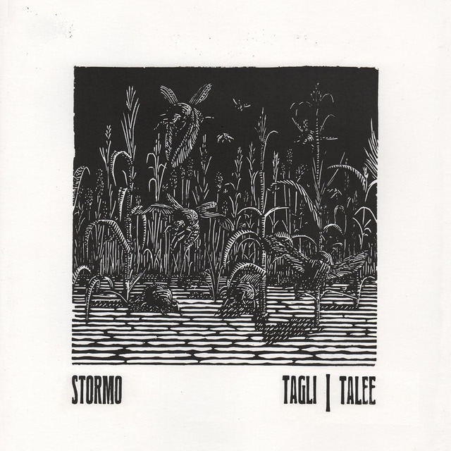 Imagen 0 de Tagli/Talee (CD)