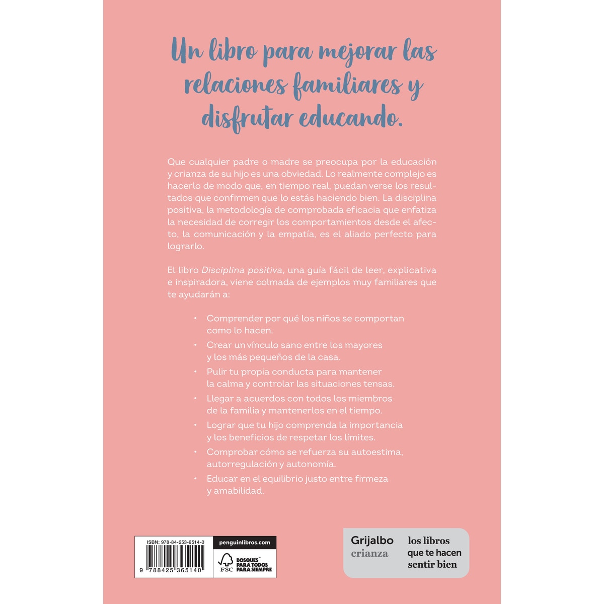 Disciplina positiva: Cómo criar niños seguros, responsables y capaces (Capa mole) 2