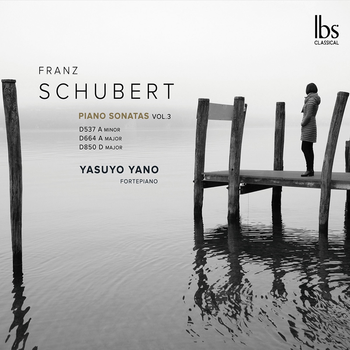 Imagen 0 de Schubert - Piano Sonatas (Digipack CD)