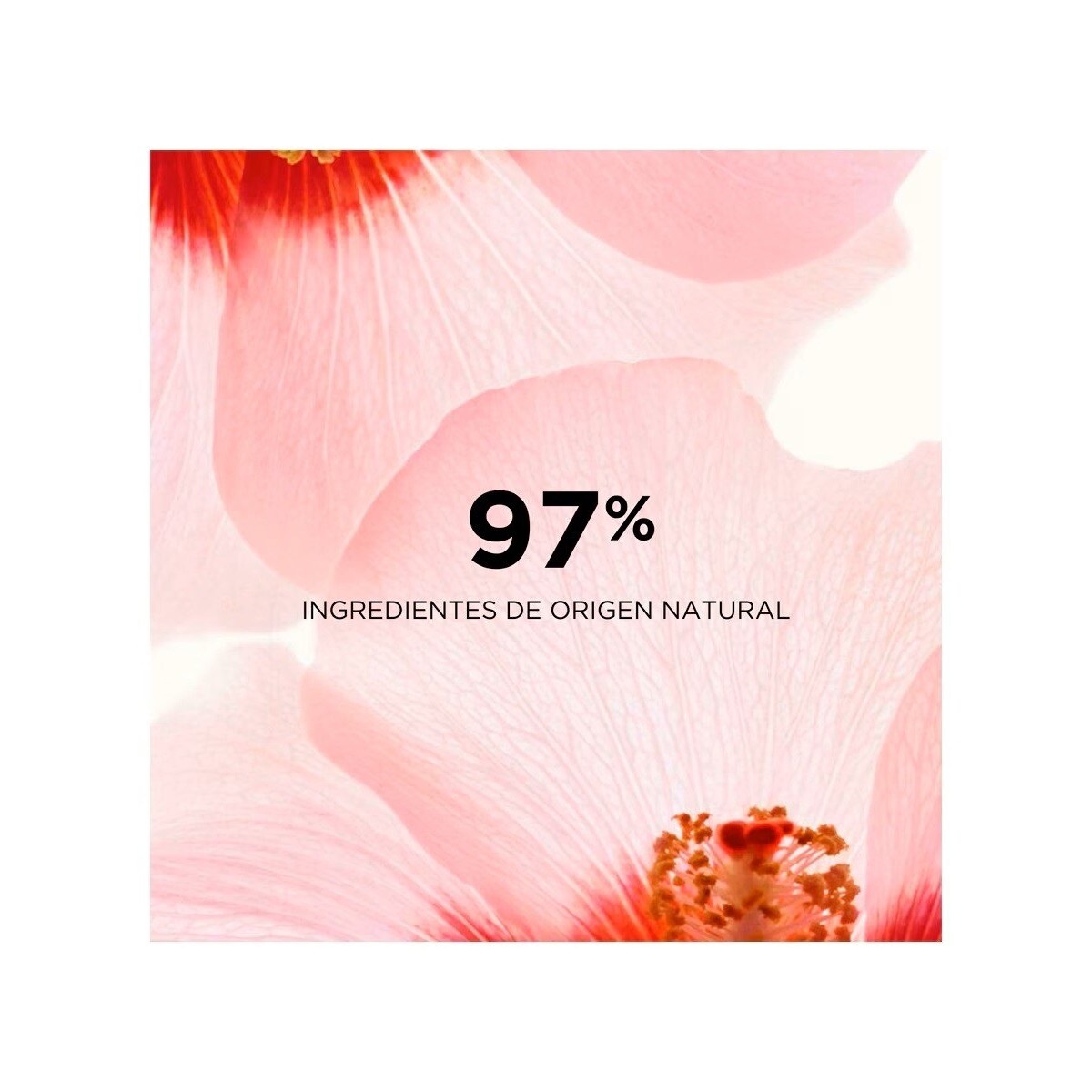 Sérum Corps Peau Neuve 3