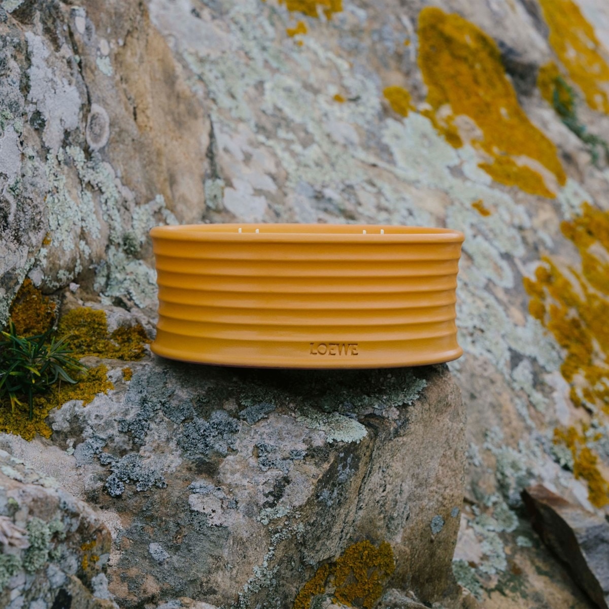 Vela de Exterior Ginger 4