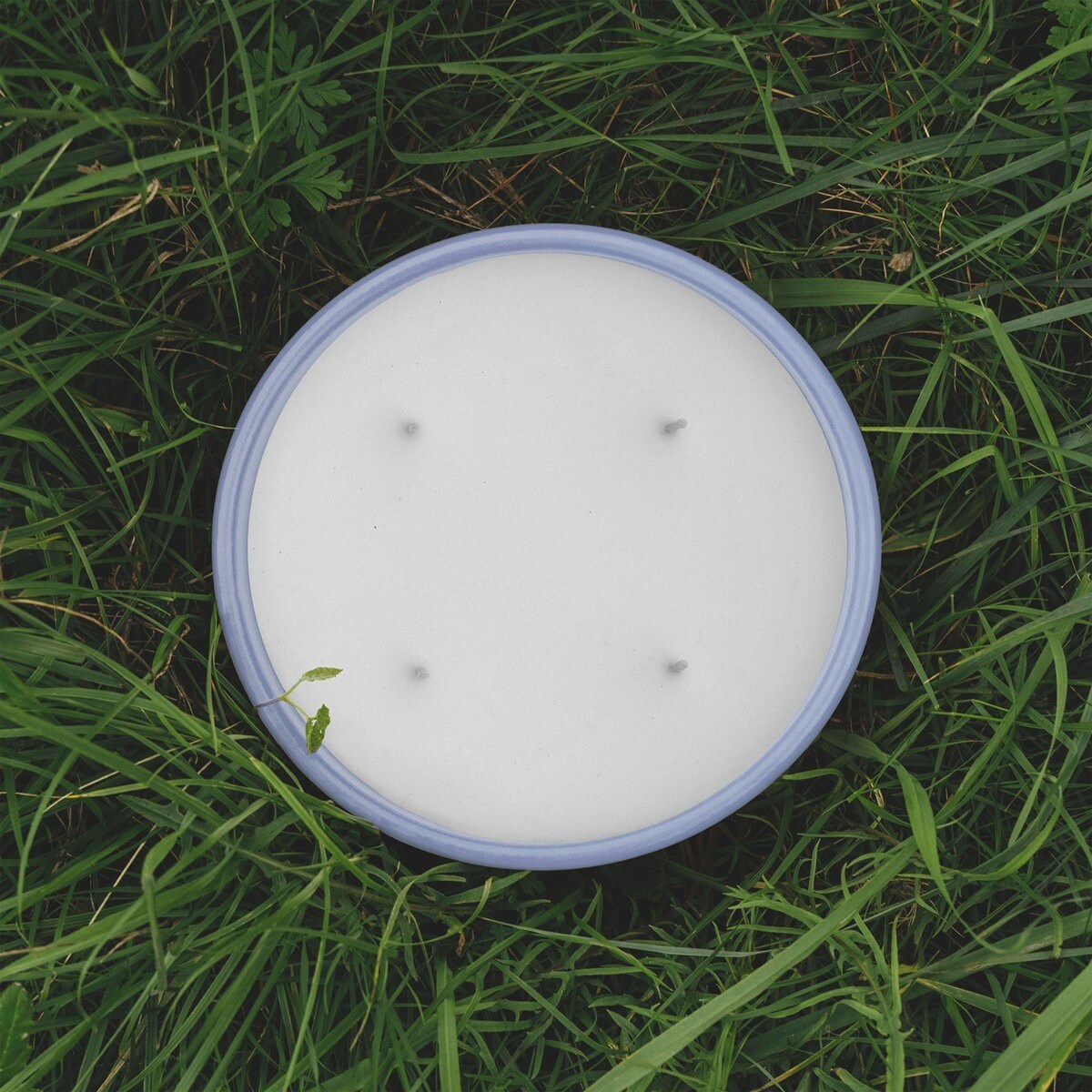 Vela de Exterior Verbena 5