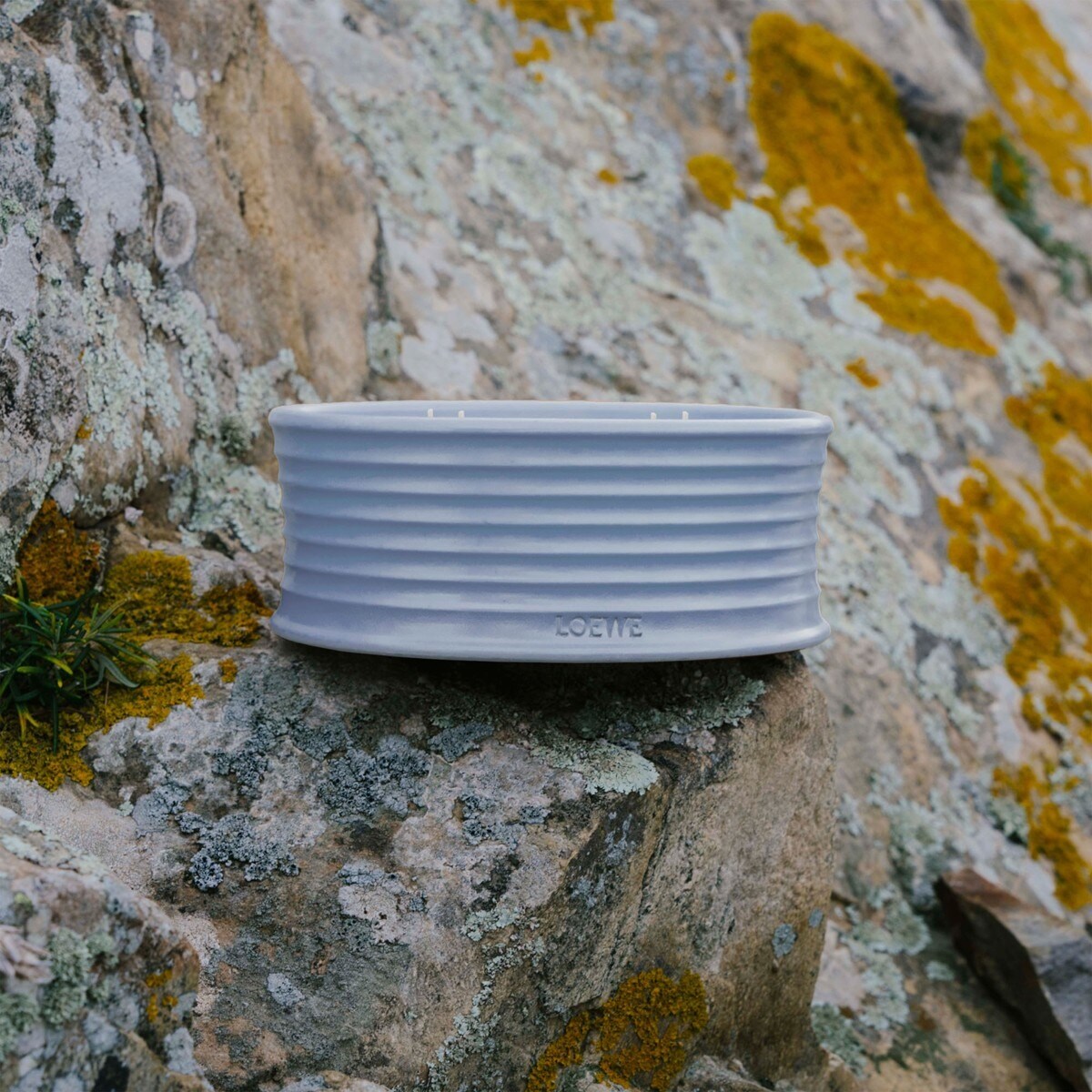 Vela de Exterior Verbena 4