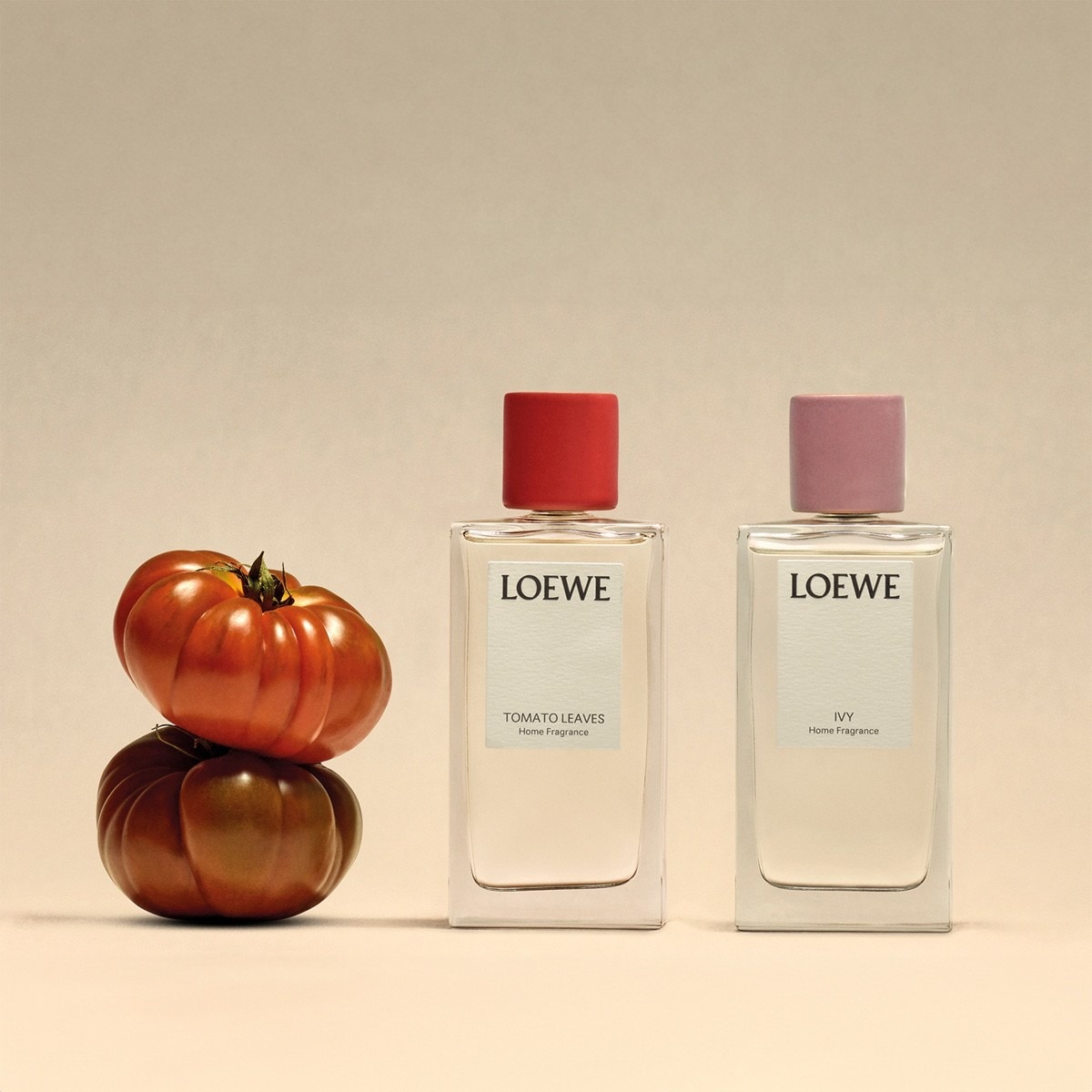 Perfume para Casa Tomato Leaves 4