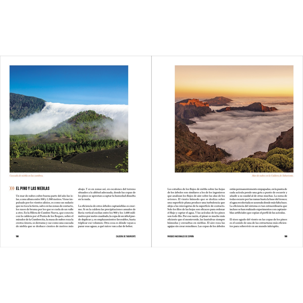 Parques Nacionales de España: Paisajes sonoros (Capa mole com abas) 7
